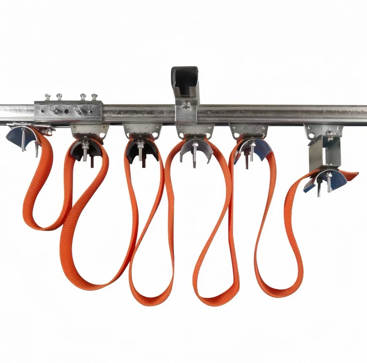 Festoon Systems